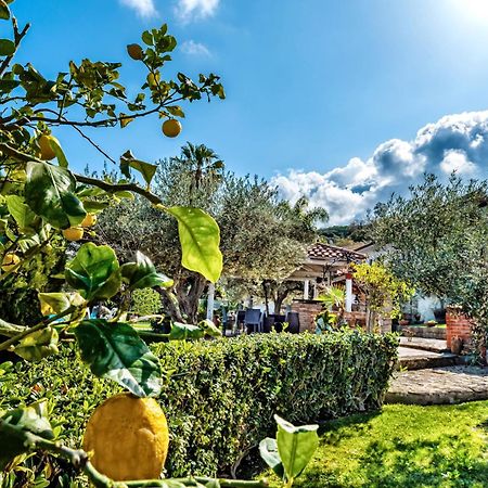 B&B Villa Bency Капо-д'Орландо Экстерьер фото