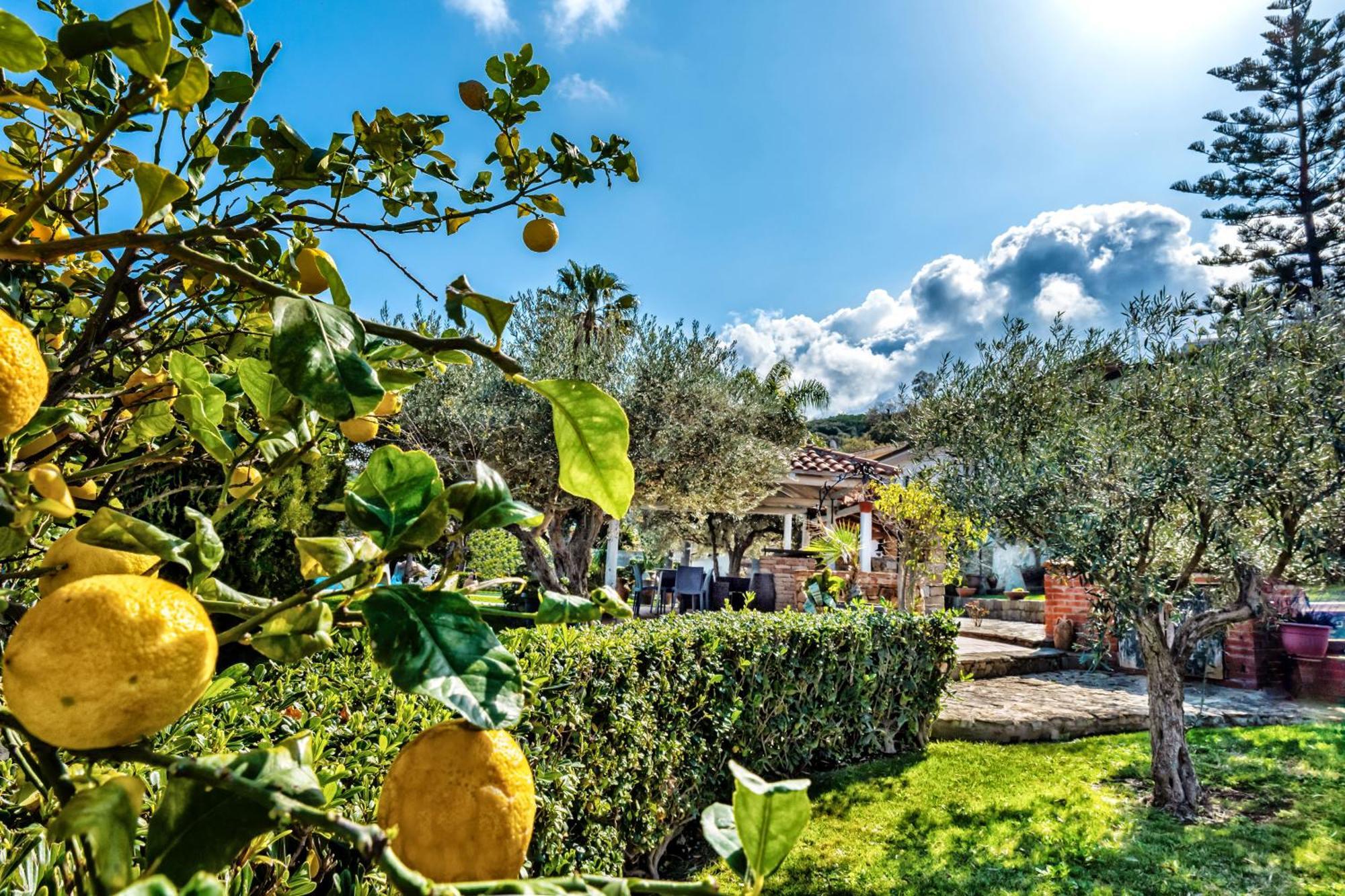 B&B Villa Bency Капо-д'Орландо Экстерьер фото